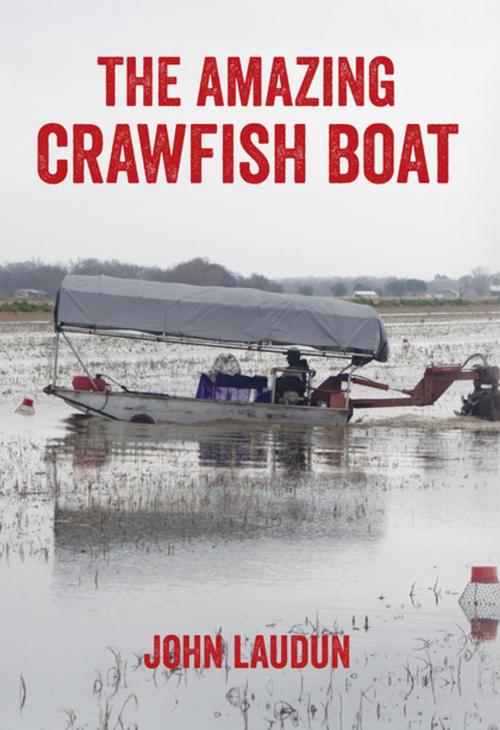 Cover of the book The Amazing Crawfish Boat by John Laudun, University Press of Mississippi