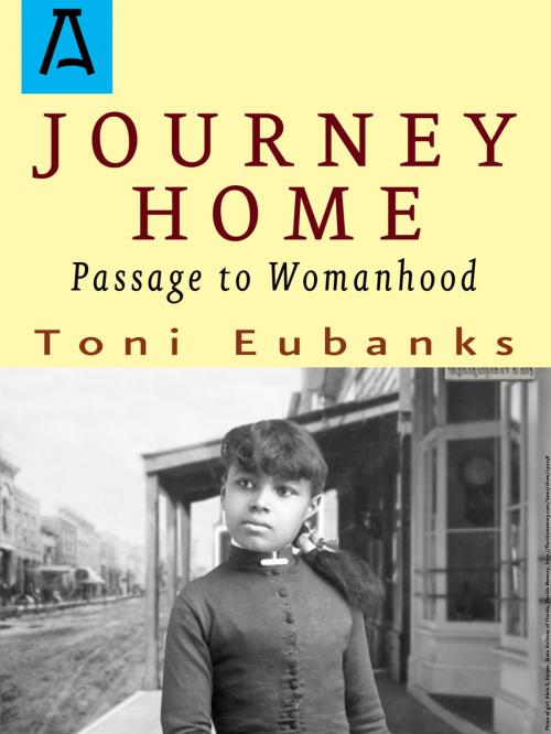 Cover of the book Journey Home by Toni Eubanks, Open Road Distribution