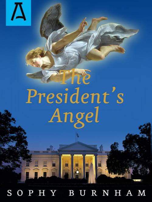 Cover of the book The President's Angel by Sophy Burnham, Open Road Distribution