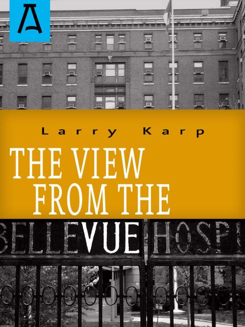 Cover of the book The View from the Vue by Larry Karp, Open Road Distribution