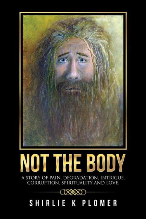 Cover of the book Not the Body by Shirlie Plomer, Balboa Press AU