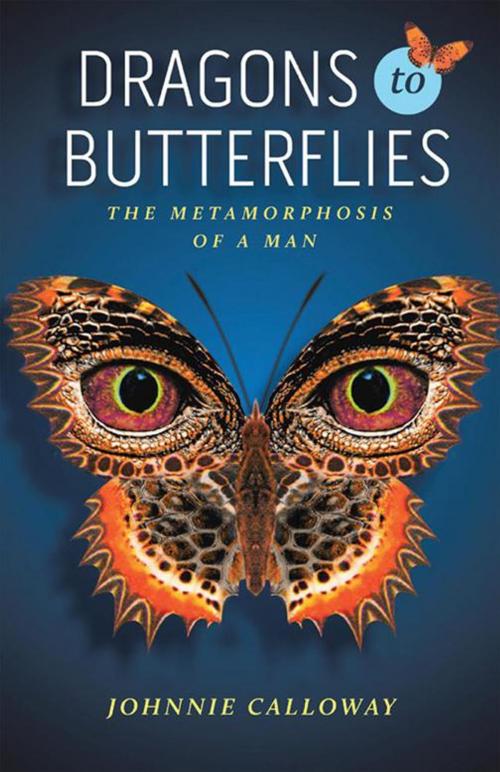 Cover of the book Dragons to Butterflies by Johnnie Calloway, Balboa Press