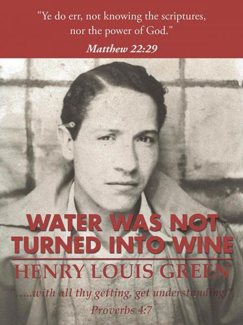 Cover of the book Water Was Not Turned into Wine by Henry Green, AuthorHouse