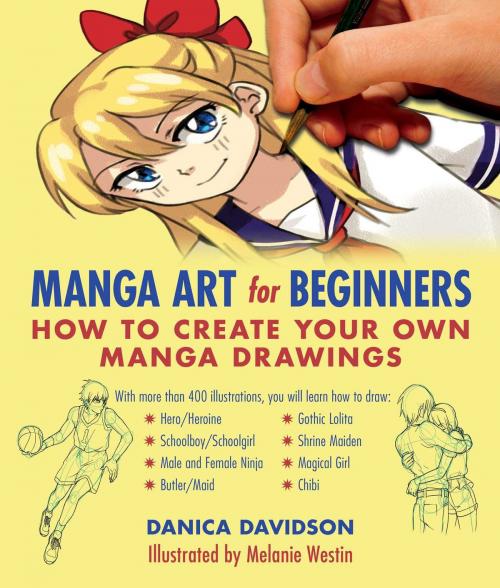 Cover of the book Manga Art for Beginners by Danica Davidson, Skyhorse