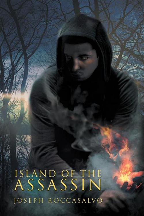 Cover of the book Island of the Assassin by Joseph Roccasalvo, Xlibris US