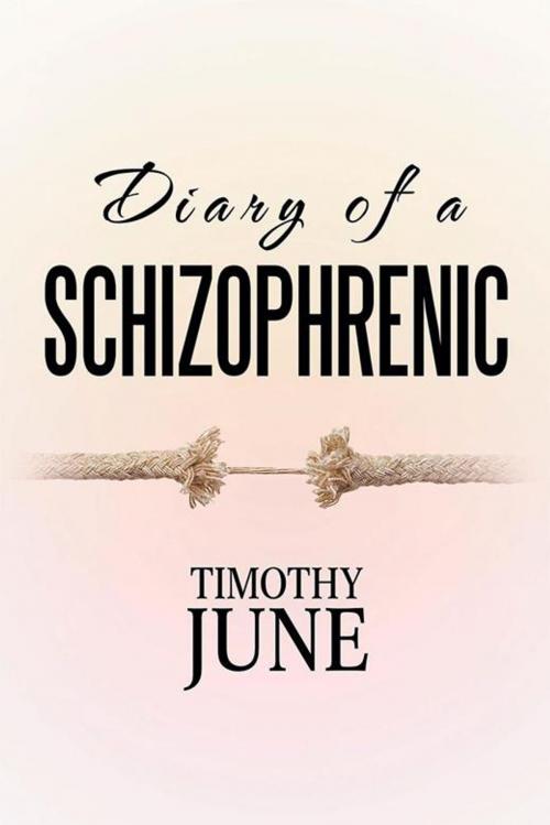 Cover of the book Diary of a Schizophrenic by Timothy June, Xlibris US