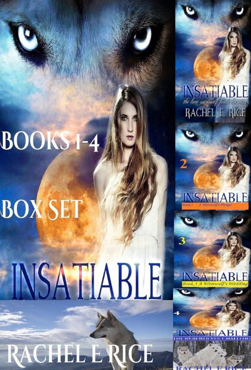 Cover of the book Insatiable Box Set: Books 1-4 by Rachel E Rice, Rachel E Rice