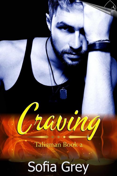 Cover of the book Craving by Sofia Grey, Acelette Press
