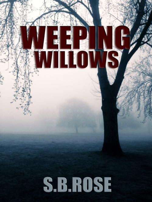 Cover of the book Weeping Willows: A Thrilling Mystery Novella (Dark Desires Book 1) by S.B. Rose, Zak Khan
