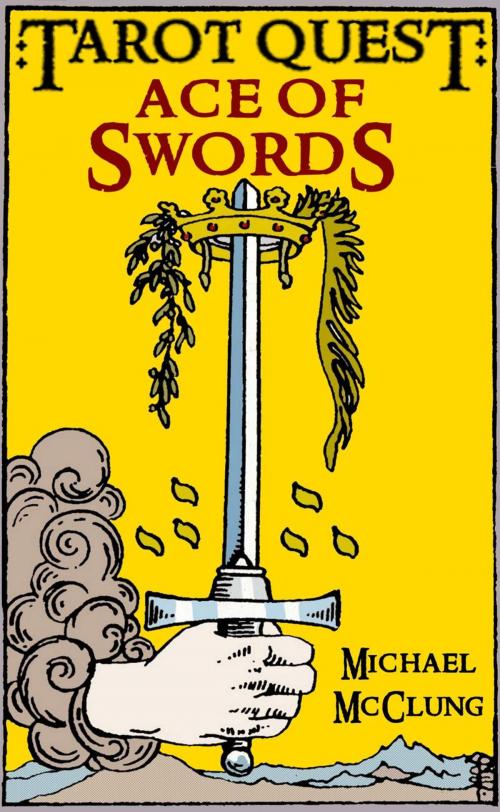Cover of the book Ace of Swords by Michael McClung, Michael McClung