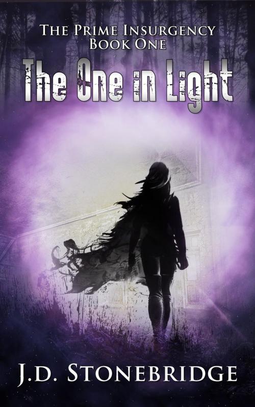 Cover of the book The One in Light by J.D. Stonebridge, J.D. Stonebridge