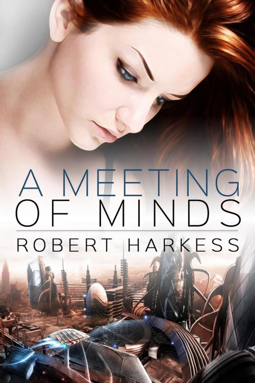 Cover of the book A Meeting of Minds by Robert Harkess, Metaphoric Media