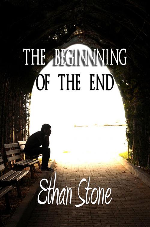 Cover of the book The Beginning of the End by Ethan Stone, Ethan Stone