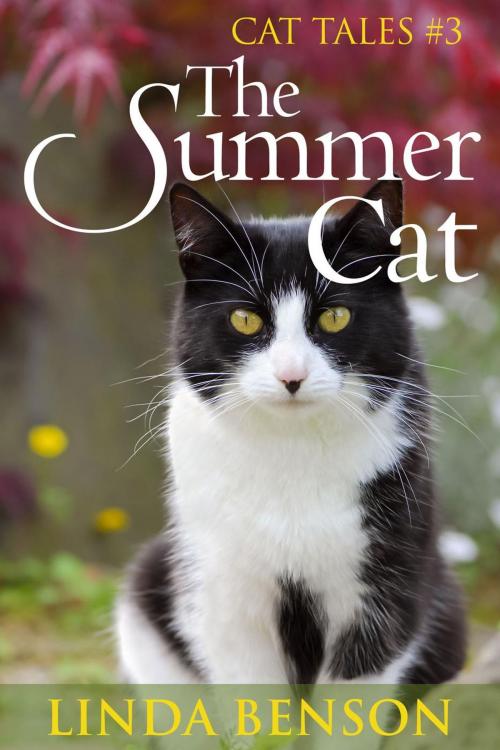 Cover of the book The Summer Cat by Linda Benson, Seven Trails Press