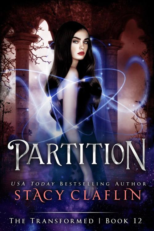 Cover of the book Partition by Stacy Claflin, Stacy Claflin