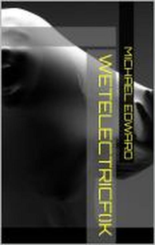 Cover of the book wetelectricfuck by Michael Edward, trash books