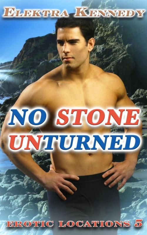 Cover of the book No Stone Unturned by Elektra Kennedy, Elektra Kennedy