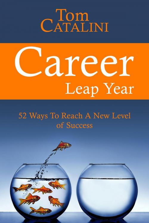 Cover of the book Career Leap Year by Tom Catalini, Almianna Press