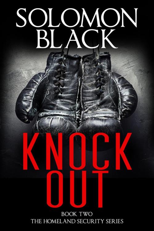 Cover of the book Knockout, Book Two (The Homeland Security Series) by Solomon Black, Solomon Black