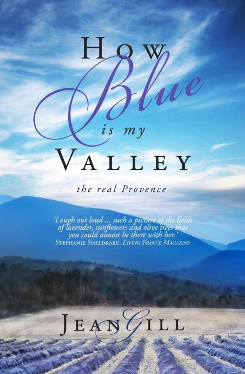 Cover of the book How Blue Is My Valley by Jean Gill, The 13th Sign