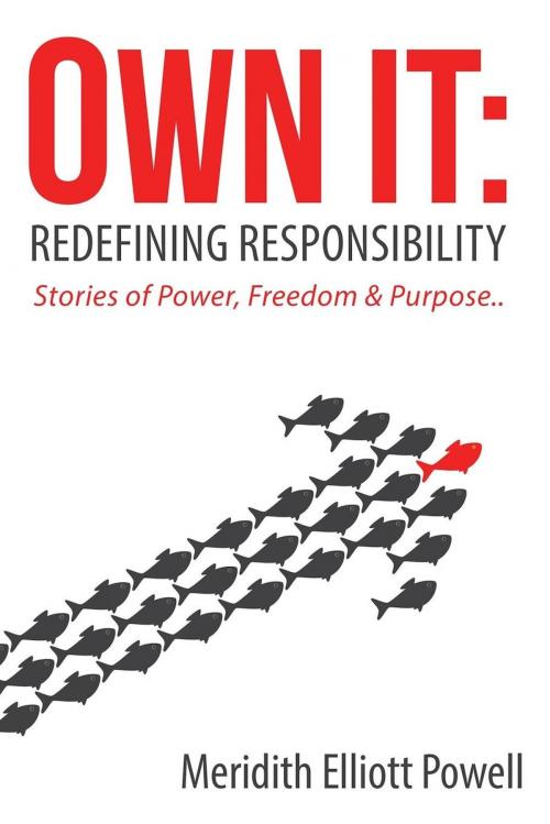Cover of the book Own It by Meridith Elliott Powell, Motivational Press