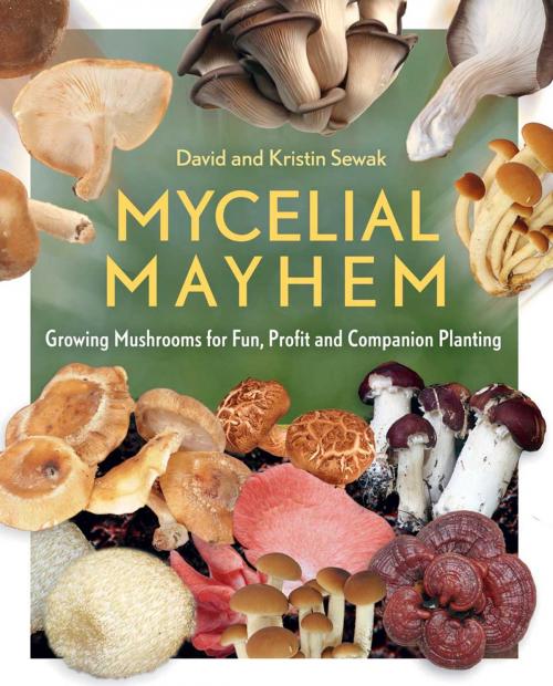 Cover of the book Mycelial Mayhem by David Sewak, Kristin Sewak, New Society Publishers