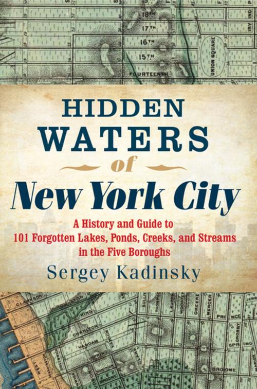Cover of the book Hidden Waters of New York City: A History and Guide to 101 Forgotten Lakes, Ponds, Creeks, and Streams in the Five Boroughs by Sergey Kadinsky, Countryman Press