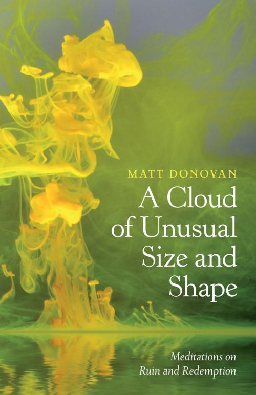 Cover of the book A Cloud of Unusual Size and Shape by Matt Donovan, Trinity University Press