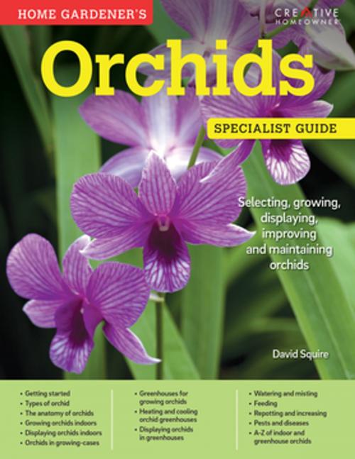 Cover of the book Home Gardener's Orchids by David Squire, Fox Chapel Publishing