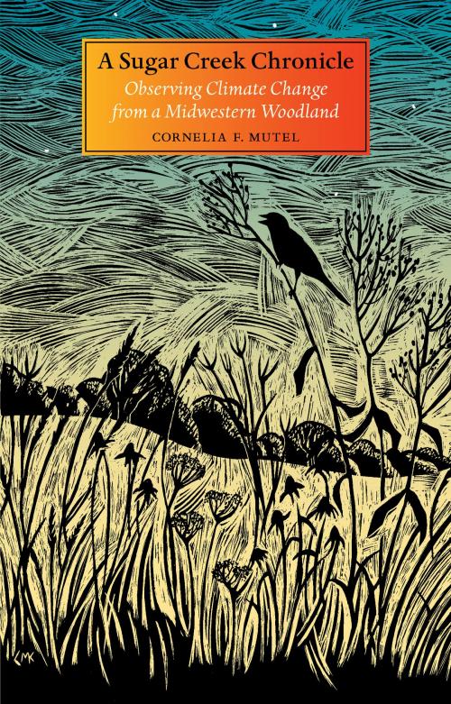 Cover of the book A Sugar Creek Chronicle by Cornelia F. Mutel, University of Iowa Press