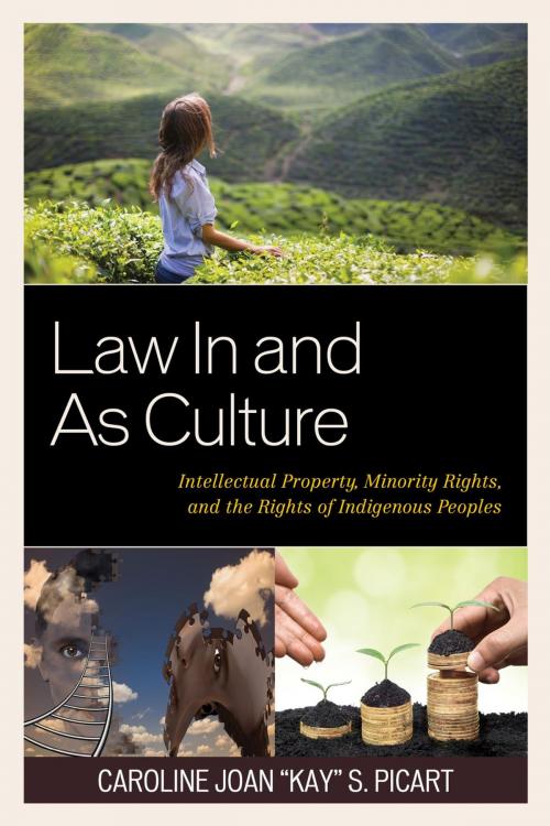 Cover of the book Law In and As Culture by Caroline Joan "Kay" S. Picart, Fairleigh Dickinson University Press