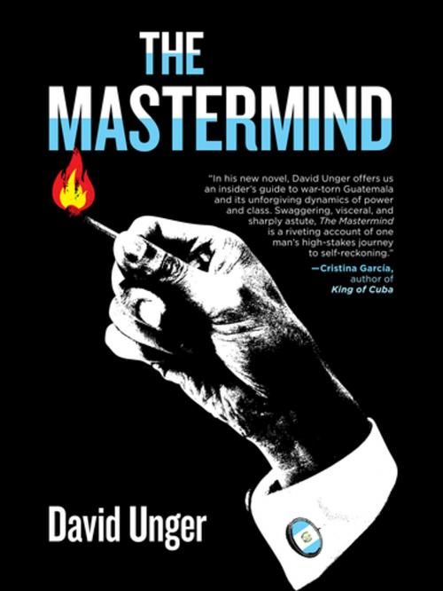 Cover of the book The Mastermind by David Unger, Akashic Books (Ignition)
