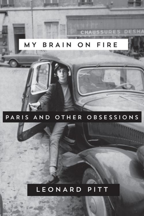 Cover of the book My Brain on Fire by Leonard Pitt, Soft Skull Press