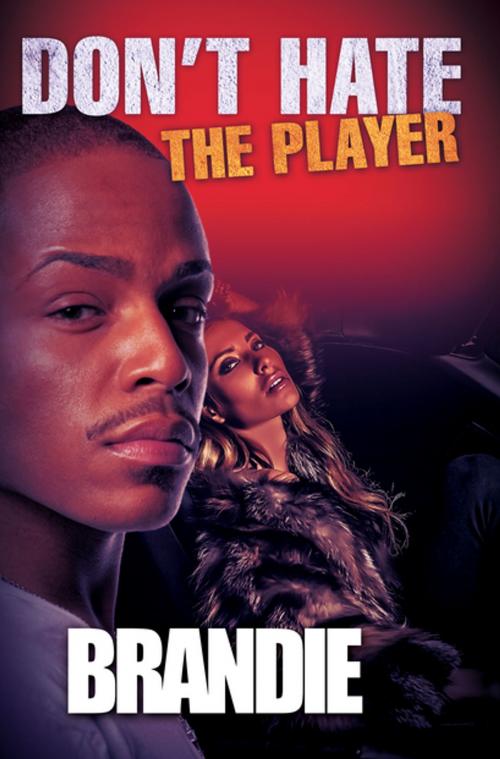Cover of the book Don't Hate The Player by Brandie, Urban Books