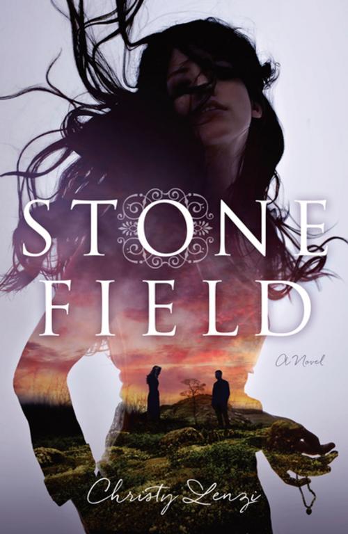 Cover of the book Stone Field by Christy Lenzi, Roaring Brook Press