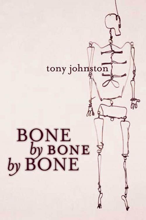 Cover of the book Bone by Bone by Bone by Tony Johnston, Roaring Brook Press
