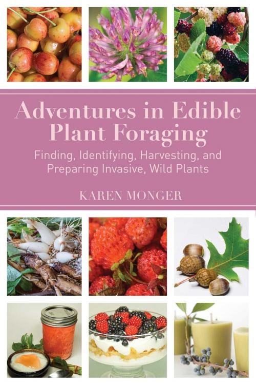Cover of the book Adventures in Edible Plant Foraging by Karen Monger, Skyhorse