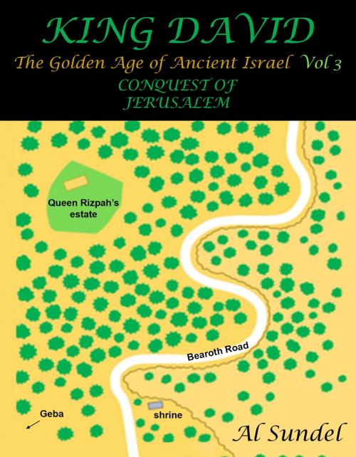 Cover of the book KING DAVID: The Golden Age of Ancient Israel Vol 3 by Al  Sundel, Publish Green