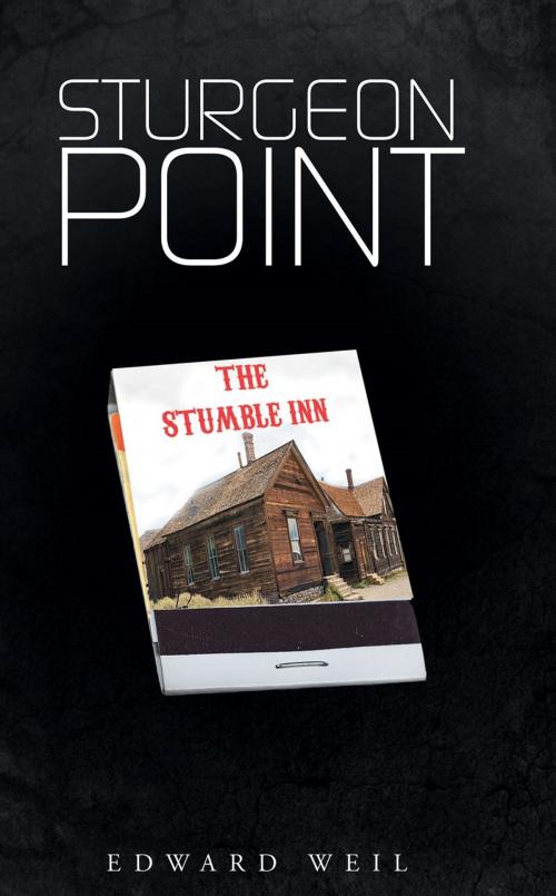 Cover of the book Sturgeon Point by Edward Weil, Page Publishing, Inc.