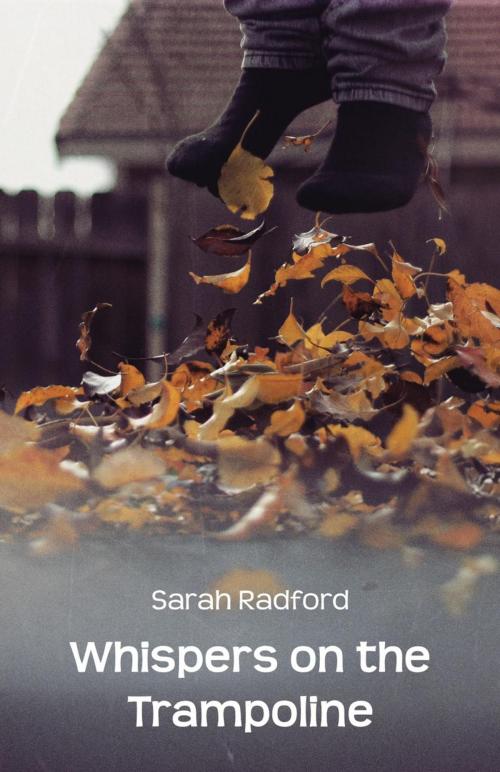 Cover of the book Whispers on the Trampoline by Sarah Radford, Ginninderra Press