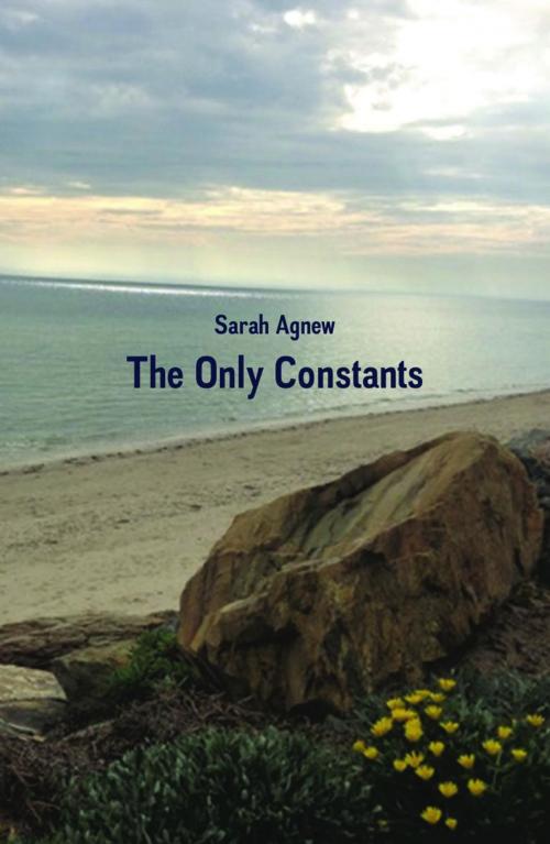 Cover of the book Only Constants by Sarah Agnew, Ginninderra Press