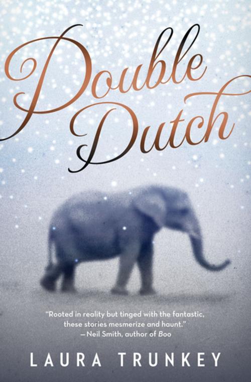 Cover of the book Double Dutch by Laura Trunkey, House of Anansi Press Inc
