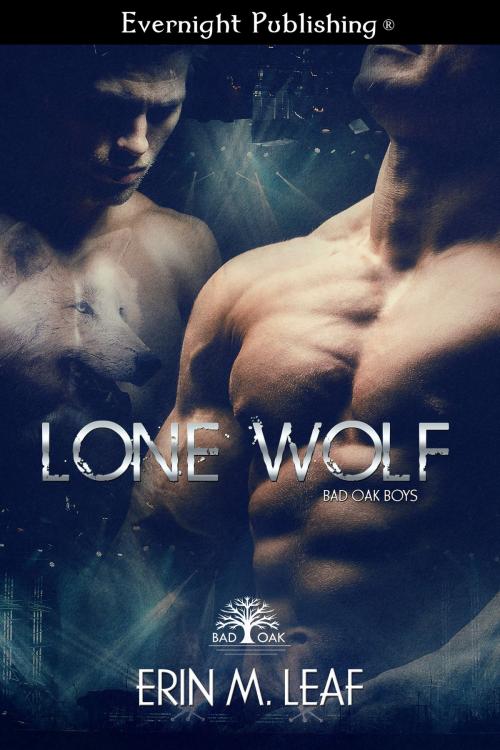 Cover of the book Lone Wolf by Erin M. Leaf, Evernight Publishing