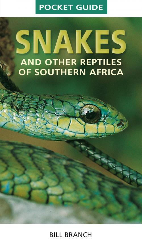 Cover of the book Pocket Guide Snakes and other reptiles of Southern Africa by Bill Branch, Penguin Random House South Africa