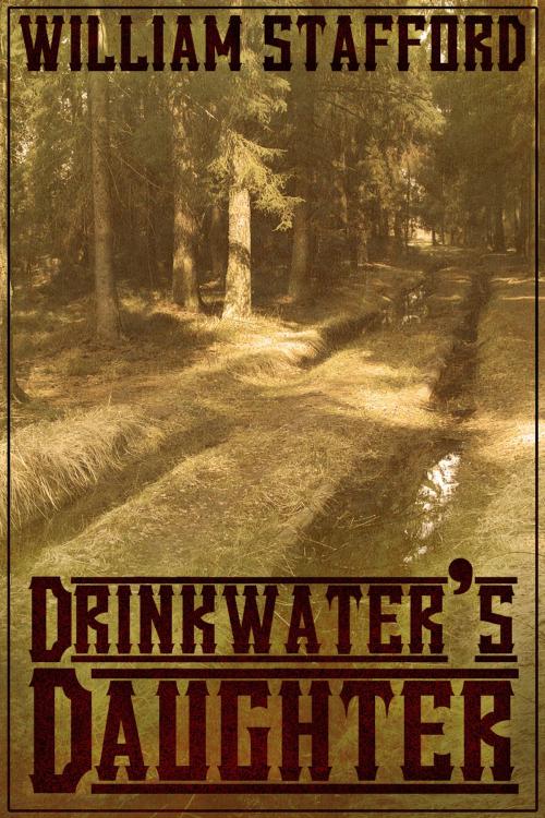 Cover of the book Drinkwaters Daughter by William Stafford, Andrews UK