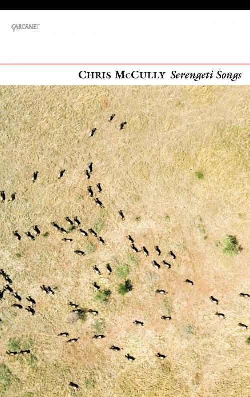 Cover of the book Serengeti Songs by Chris McCully, Carcanet Press Ltd.