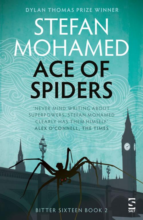Cover of the book Ace of Spiders by Stefan Mohamed, Salt Publishing Limited
