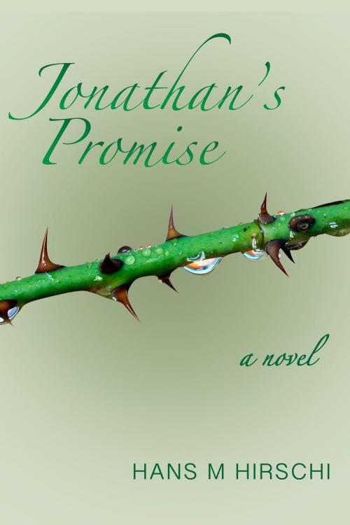 Cover of the book Jonathan's Promise by Hans M Hirschi, Beaten Track Publishing