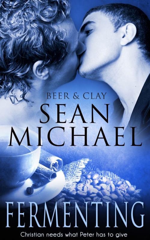 Cover of the book Fermenting by Sean Michael, Totally Entwined Group Ltd