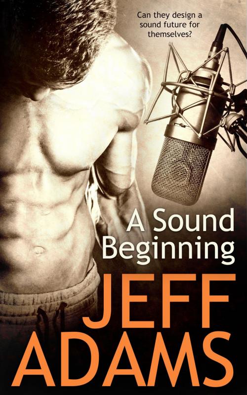 Cover of the book A Sound Beginning by Jeff Adams, Totally Entwined Group Ltd